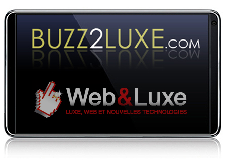web-and-luxe-buzz-2-luxe